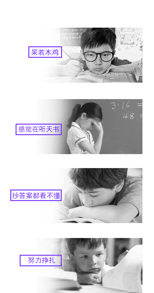 编程数学